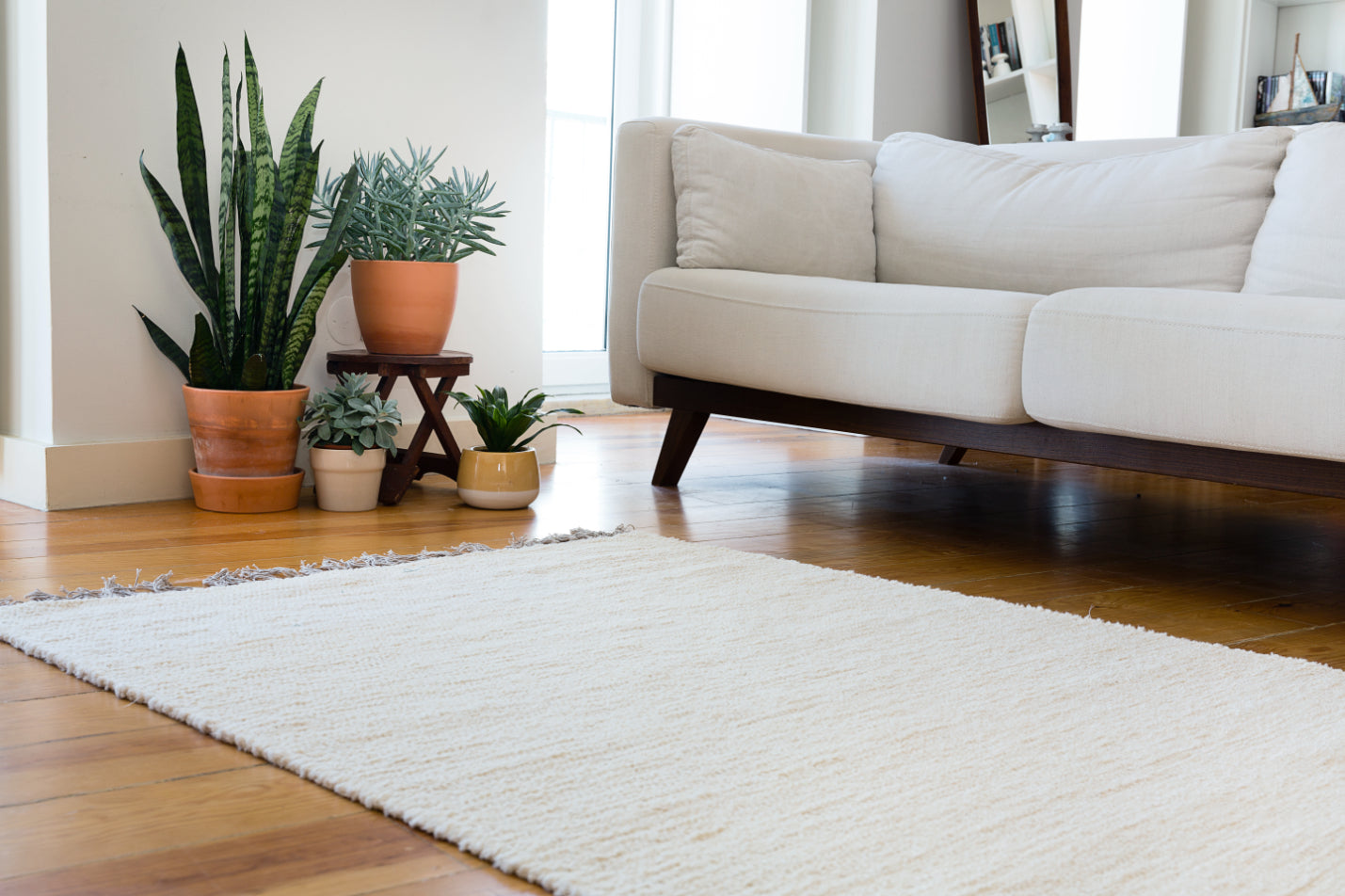 Single-Colored Rugs